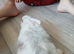 4 mini lion lops