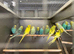 Budgies looking for new homes