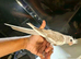Hand reared Baby cockatiels available