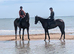 Mother Daughter share Thoroughbred