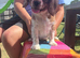 Gorgeous Cav Puppies