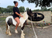 3 year old cob mare