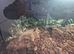 Baby bearded dragon with full set up