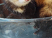 Small kits  bigger micro