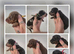 PRA CLEAR MINIATURE DACHSHUND PUPPIES