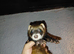 Ferrets for sale