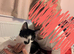 1 kitten left....black and white kitten