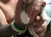 Ragdoll X kittens boys/girls