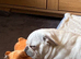 4 year old frug for sale
