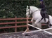 Chunky cob - allrounder