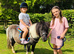 Princess - The Ultimate First Shetland