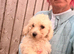 Ready now cocker spaniel puppies