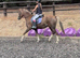 Allround childs pony