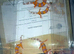 4 baby leopard gecko