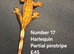 Juvenile Crested Geckos with full Lineage
