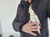 Super hand tamed baby cockatiels