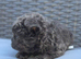 Beautiful Fluffy Frenchies Carrying C2