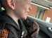 Male staffy pup