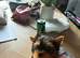 Two beautiful Yorkshire terrier puppy bitches