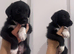 5 Bedlington Terrier X Border Collie puppies