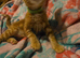 7 beautiful kittens