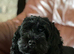 My beautiful Bella