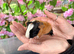 Beautiful baby guineapigs