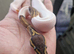 Male high white piebald