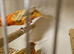 Stunning Pair topaz canaries