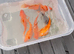 Gold fish