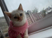 One little girl