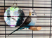 Lonely female budgie looking for a new home