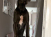 Blue Great Dane
