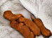 Astonishing! High Quality Toy Poodle Pups.
