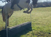 Mother/ daughter share all rounder