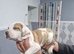 American bull terrier x pak bullykutta