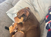 Roxy