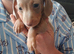 Last boy 8weeks Sunday