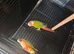Pair of conures male and female
