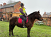 Lovely chestnut mare