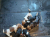 Jackshund puppies