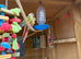 2x 12 week old conures