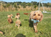 Small F1b COCKAPOO Puppies (mini cockapoo x toy poodle)