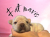 KC REG PEDIGREE FRENCH BULLDOG PUPPIES