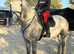 Potential mother/daughter horse