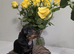 2 smooth dachshunds pups