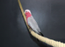 Galah Cockatoo Talking Parrot,11