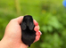 Baby Mini Lops