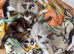 2 gorgeous kittens left