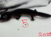 2025 balck night female leopard gecko